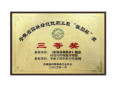 昌都荣获2025“徽园杯”奖三等奖